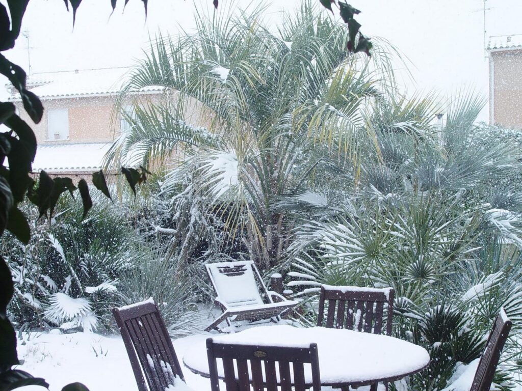 Exotica Tolosa - Les 4 visages d'Exotica : Saisons en couleurs